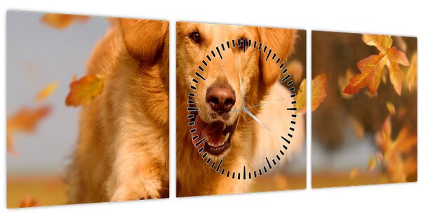 Kép - Golden Retriever (órával) (90x30 cm)