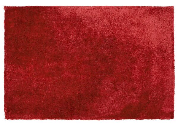 Hangulatos Hosszú Szőrű Piros Szőnyeg 140 x 200 cm EVREN