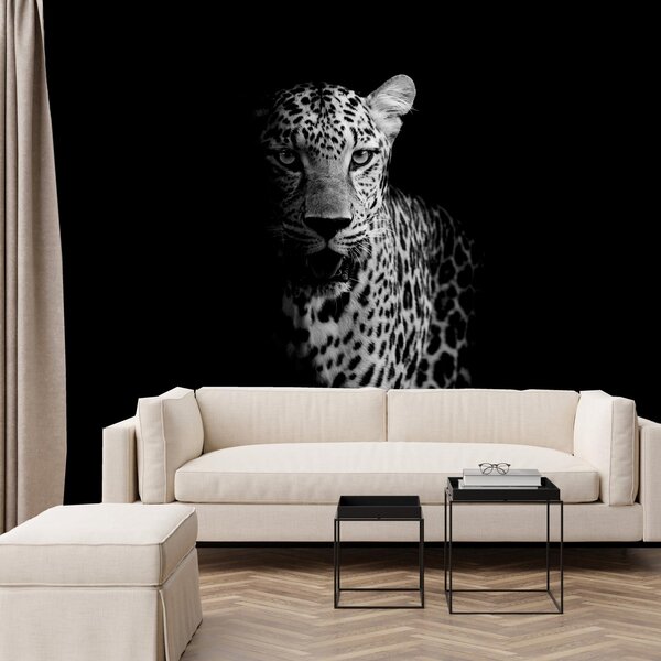 Fotótapéta - Egy leopárd portréja (147x102 cm)