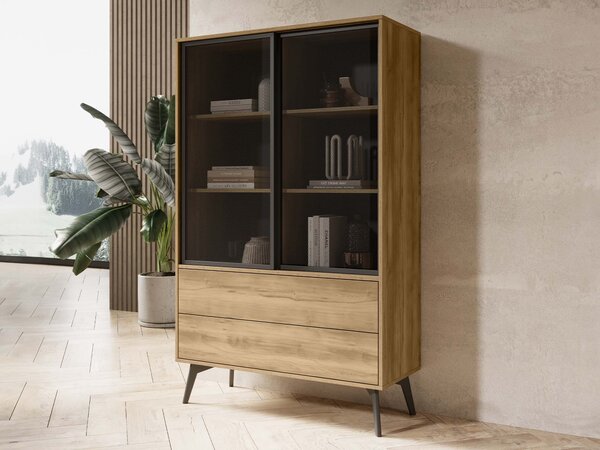 SLIDE WSZ-100 vitrin