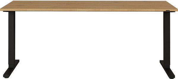 Íróasztal állítható magassággal tölgyfa dekoros asztallappal 80x180 cm Agenda – Germania