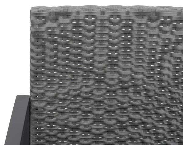VidaXL Kert Pad - 2 Személyes - Sötétszürke