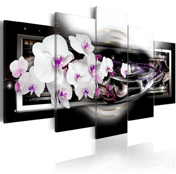 Kép - Orchids on a black background