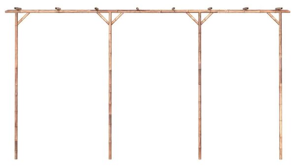 Bambusz pergola 385 x 40 x 205 cm