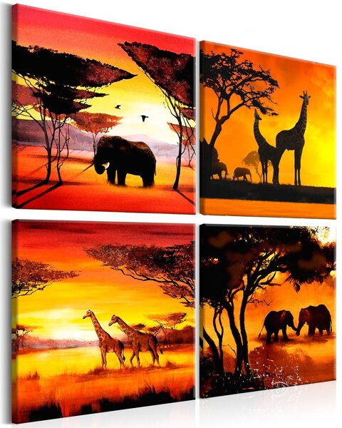 Kép - African Animals (4 Parts)