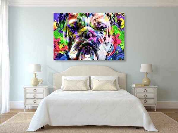 Kép pop art francia bulldog