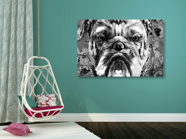 Kép francia bulldog fekete fehérben