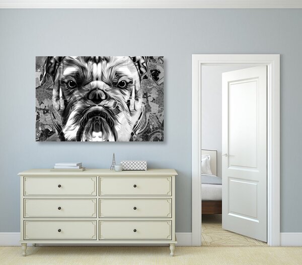 Kép francia bulldog fekete fehérben