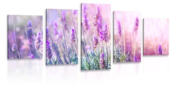 5 részes kép varázslatos levandula virágok