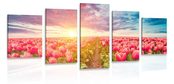 5 részes kép napkelte tulipánok felett