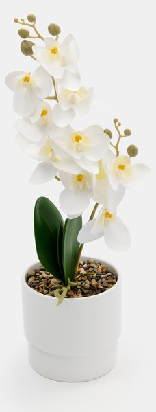 Sinsay - Umelá dekoratívna orchidea v kvetináči - fehér