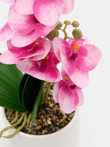 Sinsay - Umelá dekoratívna orchidea v kvetináči - rózsaszín