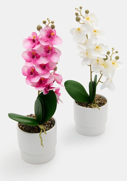 Sinsay - Umelá dekoratívna orchidea v kvetináči - rózsaszín