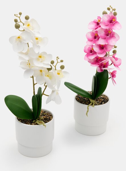 Sinsay - Umelá dekoratívna orchidea v kvetináči - fehér