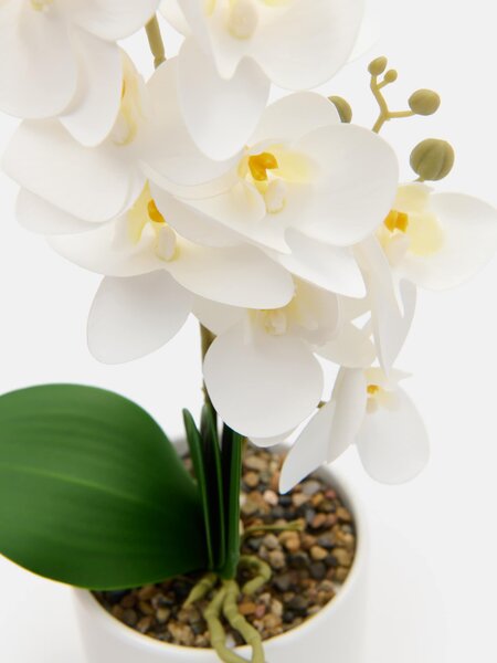 Sinsay - Umelá dekoratívna orchidea v kvetináči - fehér