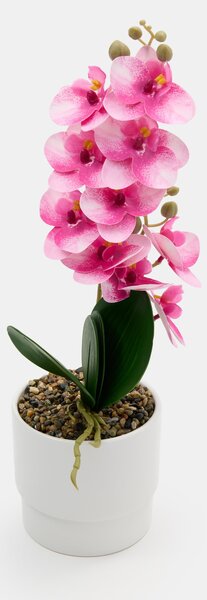 Sinsay - Umelá dekoratívna orchidea v kvetináči - rózsaszín