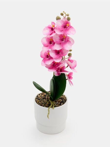 Sinsay - Umelá dekoratívna orchidea v kvetináči - rózsaszín