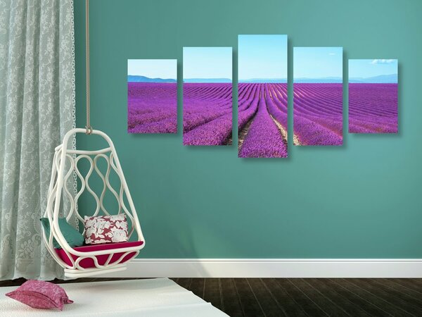 5 részes kép végtelen levandula mező