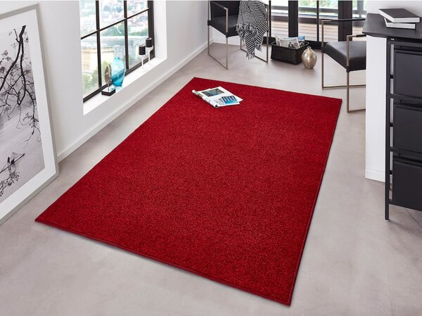 Pure piros szőnyeg, 80 x 150 cm - Hanse Home