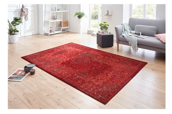 Celebration Plume piros szőnyeg, 80 x 150 cm - Hanse Home