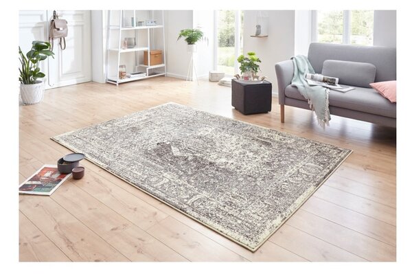 Celebration Plume szürke-krémszínű szőnyeg, 120 x 170 cm - Hanse Home