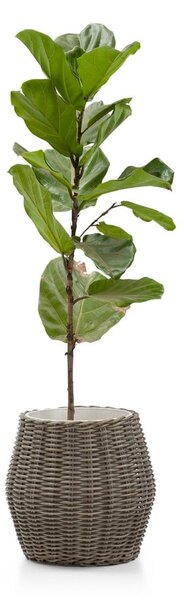 Grande Fiore műrattan kerti kaspó - Bonami Essentials