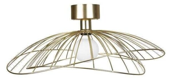 Globen Lighting - Ray Mennyezeti Lámpa/Væg BrassGloben Lighting - Lampemesteren