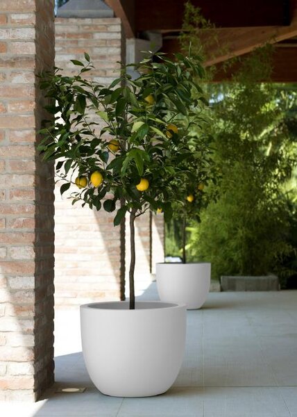 Díszcserép Aria 54 cm – fehér, modern, beltéri - Fehér - 31 - 50 cm