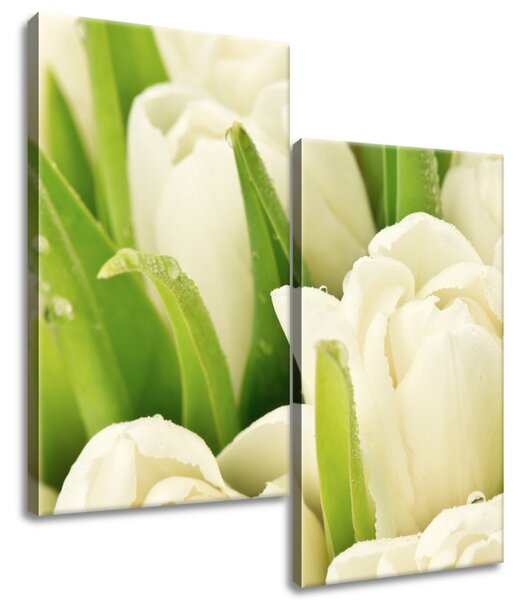 Gario Vászonkép Gyengéd tulipánok - 2 részes Méret: 60 x 60 cm
