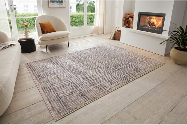 Szürke szőnyeg 80x120 cm Terrain – Hanse Home
