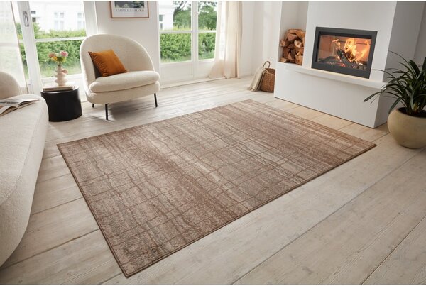 Barna-bézs szőnyeg 80x120 cm Terrain – Hanse Home