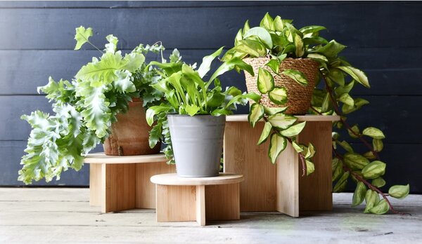 Bambusz virágtartó állvány ø 25 cm – Esschert Design