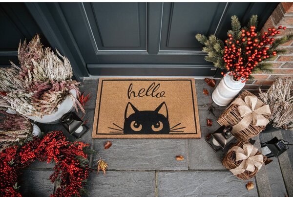 Lábtörlő 70x45 cm Mix Mats – Hanse Home