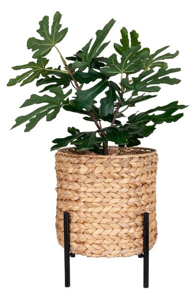 Vízijácint virágcserép ø 24 cm Antas – House Nordic