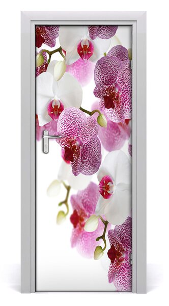 Fotótapéta ajtóra Orchidea 75x205 cm
