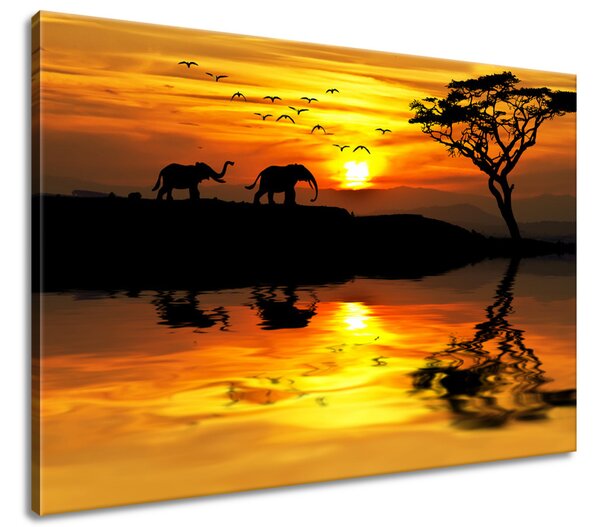 Gario Vászonkép Afrika Méret: 100 x 70 cm
