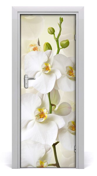 Ajtó tapéta fehér orchidea 95x205