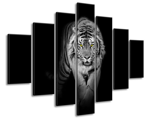 Gario Vászonkép Veszélyes tigris a sötétben - 7 részes Méret: 210 x 150 cm