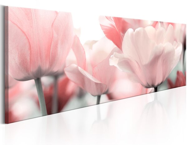 Vászonkép - Pink Tulips