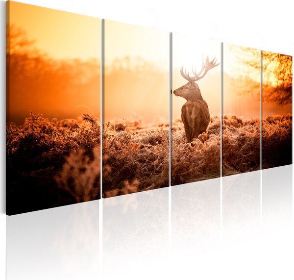 Vászonkép - Deer at Sunset