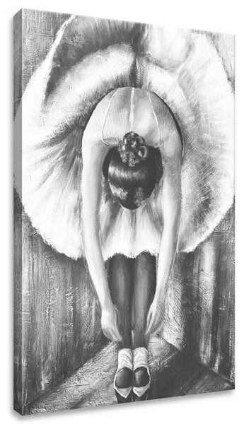 Vászonkép A szürke balett-táncosnő bemelegítése