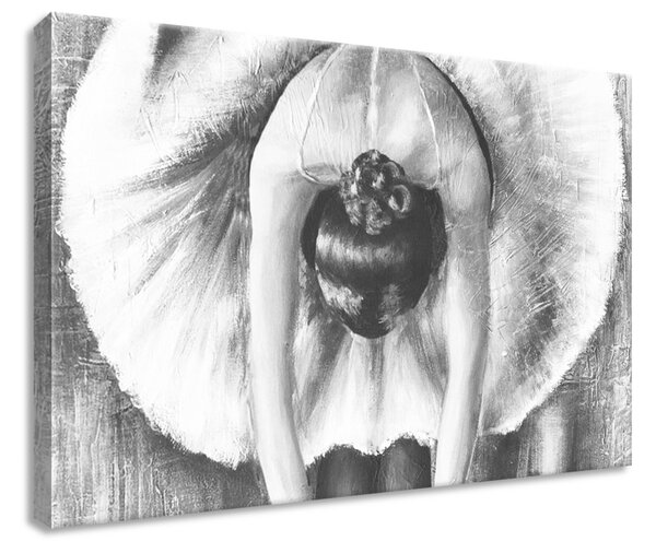 Vászonkép A szürke balett-táncosnő bemelegítése