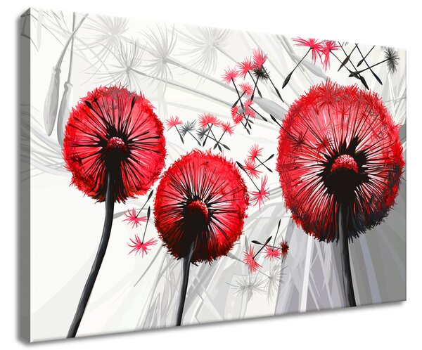 Gario Vászonkép Gyönyöru piros pitypangok Méret: 60 x 40 cm