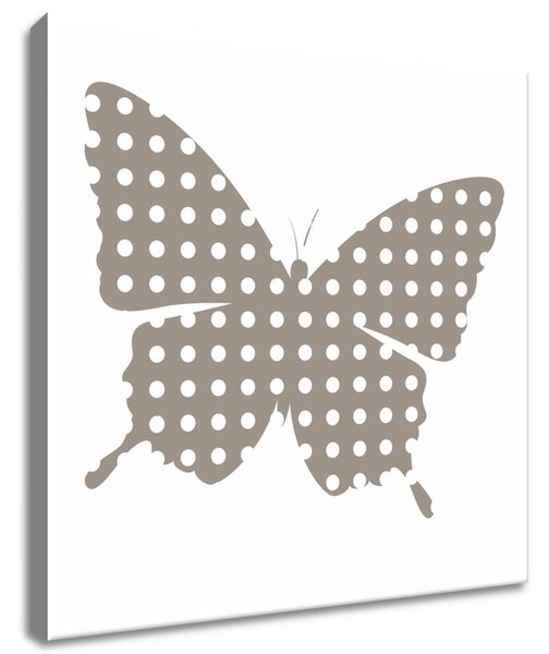Vászonkép Szürke pillangó