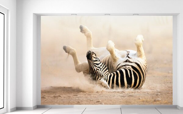 Fotótapéta Boldog zebra
