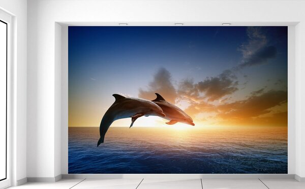 Fotótapéta Ugrándozó delfinek