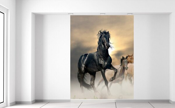Fotótapéta Gyönyörű fekete ló