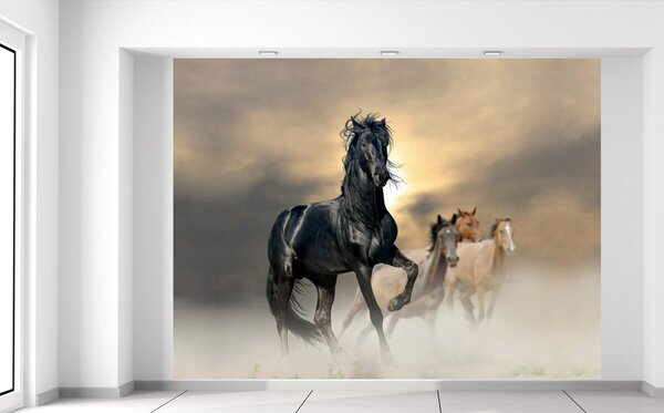 Gario Fotótapéta Gyönyöru fekete ló Anyag: Öntapadó, Méret: 200 x 150 cm