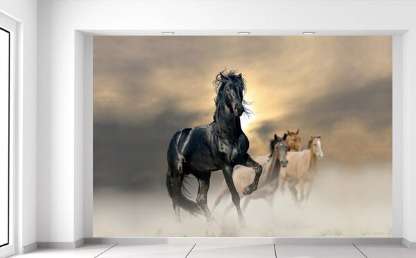 Fotótapéta Gyönyörű fekete ló