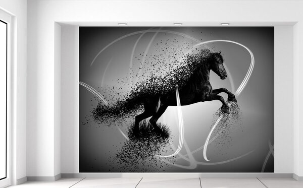 Fotótapéta Fekete-fehér ló - Jakub Banas